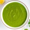 Green Chutney